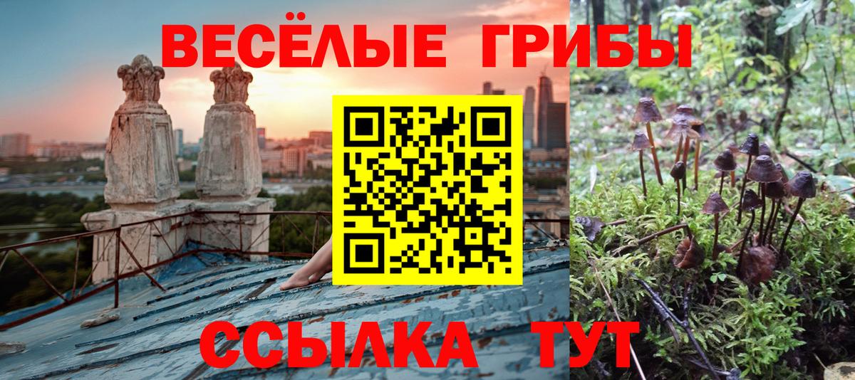 Галлюциногенные грибы мицелий  купить  цена  Галлюциногенные грибы ЛСД  Белая Калитва  Вход с VPN 